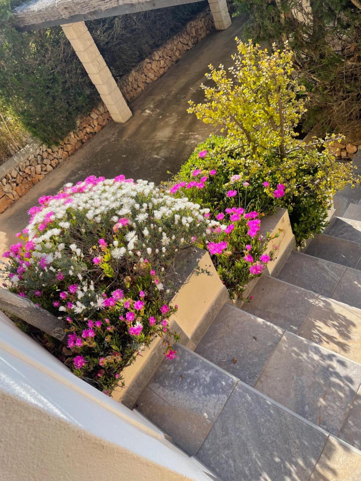 Villa Quatre Vents Punta Prima  Extérieur photo